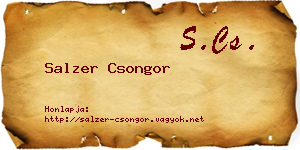 Salzer Csongor névjegykártya